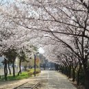 방촌주유소 네이버블로그