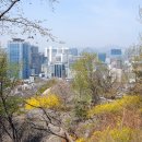 그꽃길 이미지