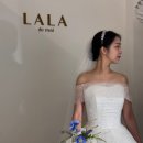 투어동행