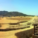 의성조문국박물관 이미지