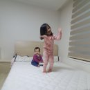 갤러리아 항균세탁 | 라텍스 토퍼 불편한 진실(꼭체크하세요)