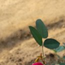 향기 - 사상구 주례동 | 향기