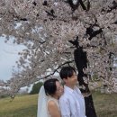 아비시스튜디오