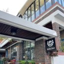 (주)애니멀공화국 | 청주 고양이카페 <애니멀공화국> 유기묘도 돕고, 냥이들도 보고!