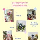 서현초등학교 | 다문화학생 원예체험 프로그램 후기 / 꽃바구니 만들기&amp;오일파스텔 그리기 in 서현초등학교