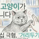 헤어콤파스