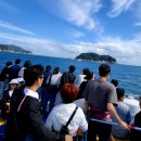 동백꽃백화점 이미지