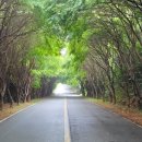 비지팅복지용구 | 파주복지용구를 준비한 뒤, 요양보호사 선생님과 함께 달라진 하루