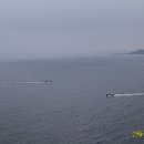 초도콘도민박