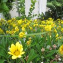 하추자보건진료소 이미지