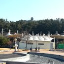 배산체육공원 축구장 이미지