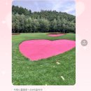 전투낚시백화점 | 내 우주는 온통 너야 !