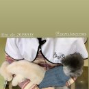 몽멍이들 이미지