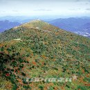 덕이공원 이미지