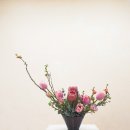 벤츠플라워