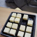 고다 하우스 이미지