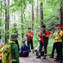 소백산자락길 이미지