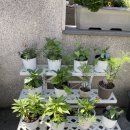 삼덕유치원 이미지