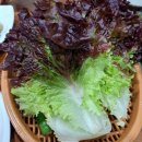돈꿈용꿈화로구이 | 강서구 가양역 고기집 / 돈꿈용꿈화로구이 참숯불구이 부위 항정살 맛집