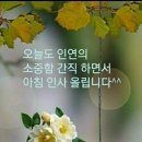 화사하개 이미지