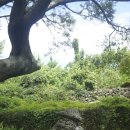 김영갑갤러리두모악미술관 | 김영갑 갤러리 두모악 미술관