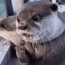 도미인 서울 강남 이미지