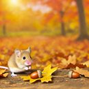 명암축산 | (리얼후기) 쥐트랩으로 쥐박멸 하는 방법 이것만 알면 쥐퇴치 OK