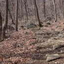 김천물소리생태숲_#1 이미지