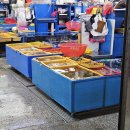 아이콘 코인노래연습장 이미지