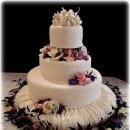 가족천하 이미지