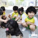 왜관중앙초교(병설) 이미지