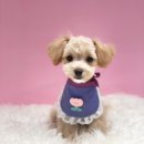 멍둥이 이미지