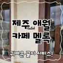 도보책방 | 귀여운 귤을 주는 제주 애월 카페 멜록〡내돈내산 추천 후기