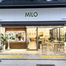 카페마일로 - 광산구 선운로 17 | 부산 서면 카페 아바라 맛집 마일로 MILO