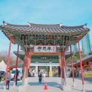 (주)수화은 | 봉은사 홍매화 꽃구경 서울 매화 실시간 3월17일