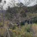 거문민박 이미지