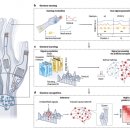 의료법인 큰빛의료재단 이미지