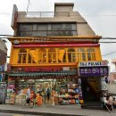 타지펠리스
