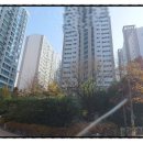 유림-21 이미지