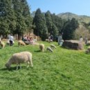 장사목장 이미지