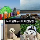 일등 노래연습장 | 목포 퀸제누비아 펫스탠다드룸 애견동반 가격/ 할인/ 식당/ 전현무정식