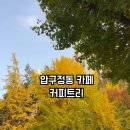 로스팅하우스커피트리