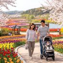 서리지생태공원(1) | 청주 가볼만한곳 1위 🌷 문암생태공원 튤립 실시간 후기 (무료 실화?)