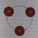 제4부/ 과학혁명 / 14 무지의 발견 (2) 이미지