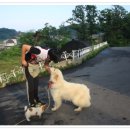 바다요정 이미지