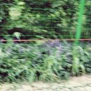 요기가거기 이미지