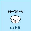 솔솔애견유치원 이미지