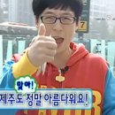 유수암숲 | ᯓ𓇼 내돈내산 에어비앤비 제주 감성 숙소 애월 유수암 숲 // 예약방법&amp;상세정보 소개