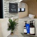 정이든 스테이 이미지