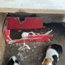 찬우물농장 이미지